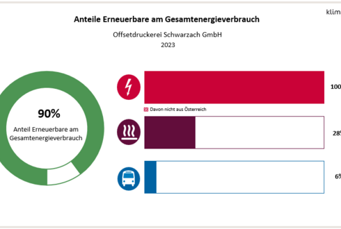 Abbildung 2: Anteil Erneuerbare am Gesamtenergieverbrauch und in den Bereichen Strom, Wärme und Transport 2023