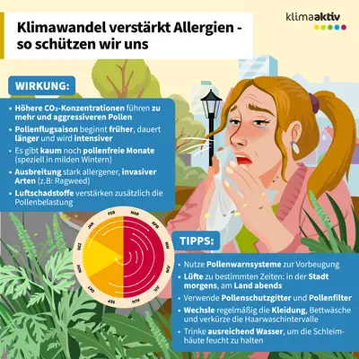 Die Infografik mit dem Titel „Klimawandel verstärkt Allergien – so schützen wir uns“ erklärt die Auswirkungen des Klimawandels auf die Pollenbelastung und gibt Tipps zum Schutz. Sie zeigt, dass höhere CO₂-Konzentrationen zu mehr und aggressiveren Pollen führen, die Pollensaison früher beginnt, länger dauert und intensiver ist. Es gibt kaum noch pollenfreie Monate, invasive Arten wie Ragweed breiten sich aus, und Luftschadstoffe verstärken zusätzlich die Belastung. Die Grafik veranschaulicht dies mit einer Person, die sich die Nase putzt, um Allergiesymptome darzustellen, umgeben von Pflanzen und einem blauen Infokasten mit den genannten Wirkungen. Darunter befindet sich ein Kreisdiagramm zur Pollensaison. Rechts unten sind Tipps in einem blauen Feld: Pollenwarnsysteme nutzen, Lüften zu bestimmten Zeiten, Pollenschutzgitter und Filter verwenden, Kleidung wechseln und Haare waschen sowie Räume feucht halten. Die Farbgestaltung ist freundlich, mit grünen Pflanzen und blauen Informationsfeldern.