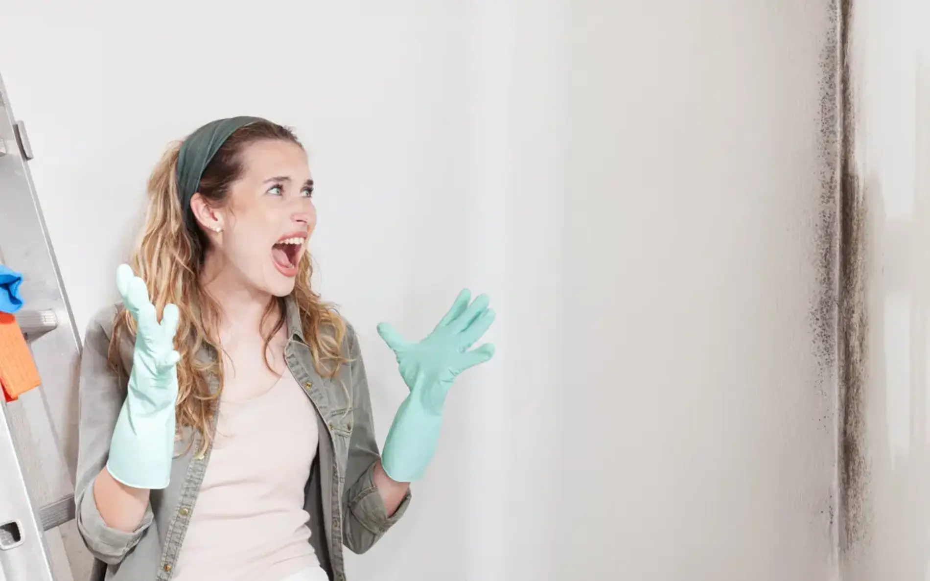Eine Frau mit Putzhandschuhe schreit in Richtung einer verschimmelten Wand