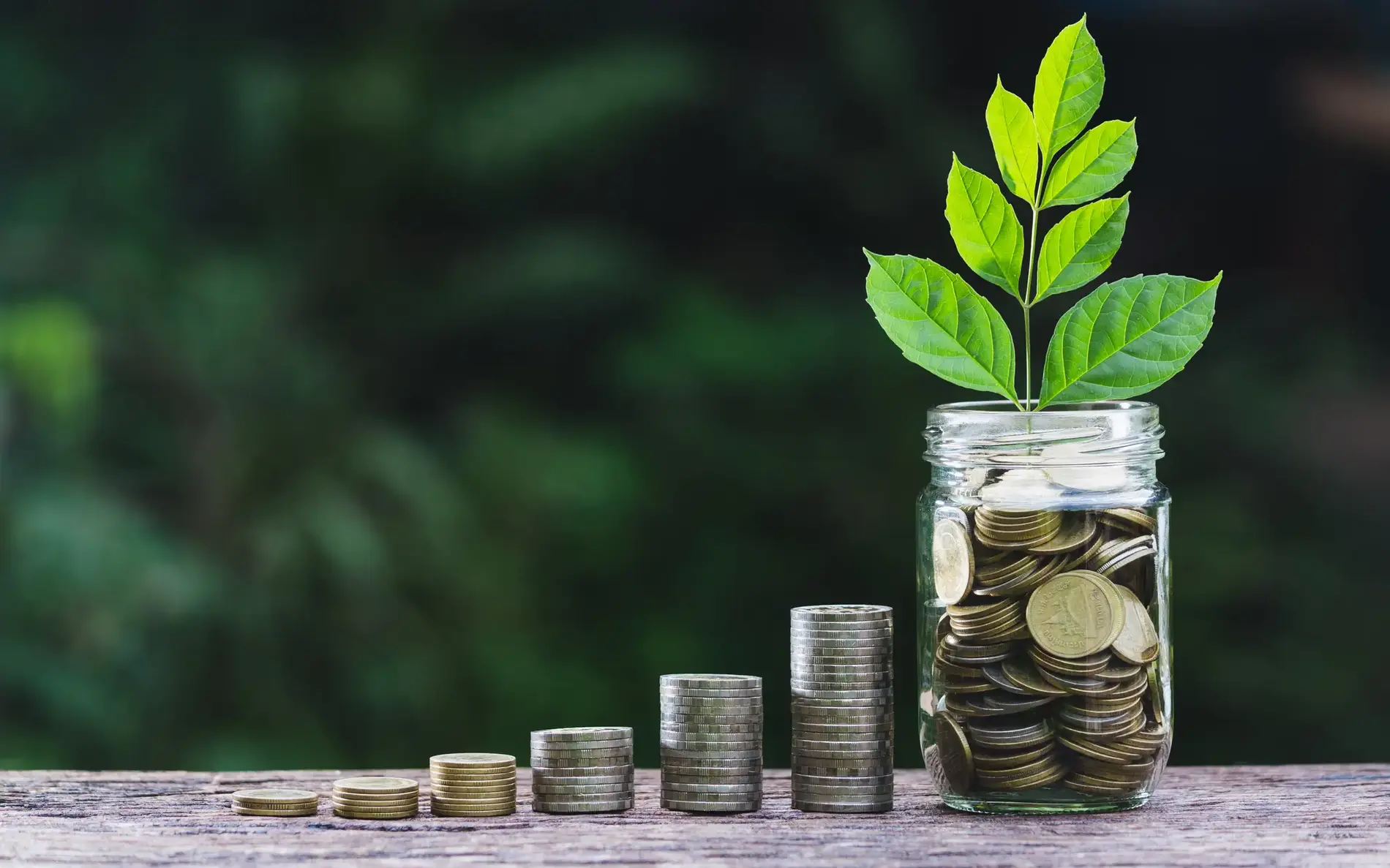 Münzen in einem Glas, aus dem eine Pflanze wächst.