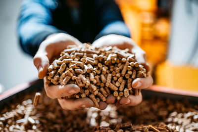 Zwei Hände, die eine Art Schüssel bilden und kleine Heizpellets halten. Darunter ein Gefäß voller Pellets