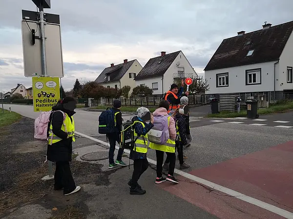 Pedibus