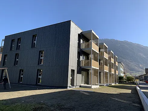Schruns V 197
