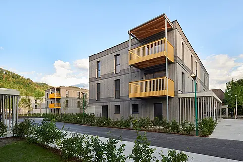 Burgfriedsiedlung BA2 Hallein Haus B