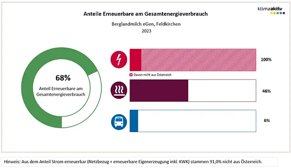 Anteil Erneuerbare am Energieverbrauch 2023, Standort Feldkirchen