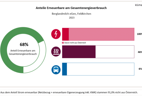 Anteil Erneuerbare am Energieverbrauch 2023, Standort Feldkirchen