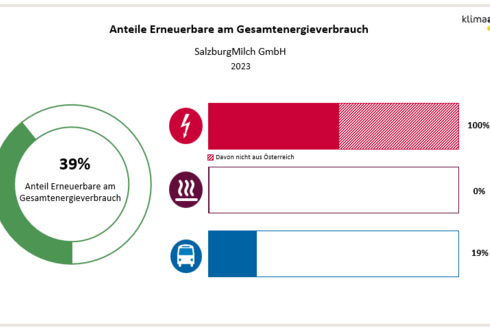 Abbildung 2: Anteil Erneuerbare am Gesamtenergieverbrauch und in den Bereichen Strom, Wärme und Transport 2023