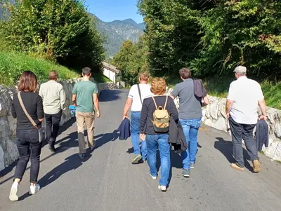 Mehrere Personen von hinten gehen eine Gemeindestraße entlang, links und rechts grün