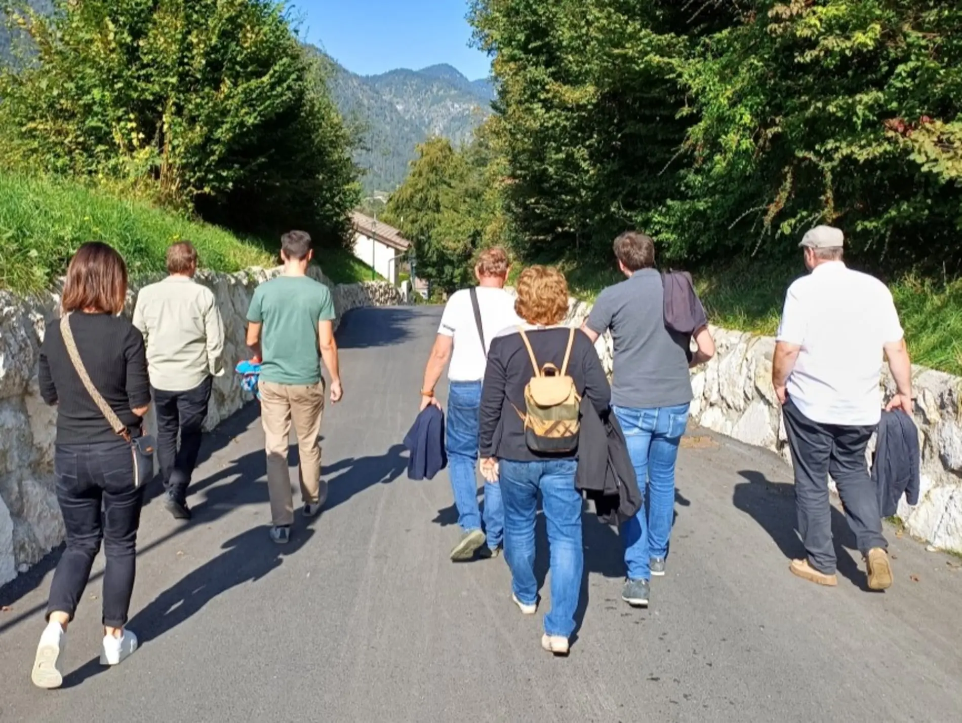 Mehrere Personen von hinten gehen eine Gemeindestraße entlang, links und rechts grün