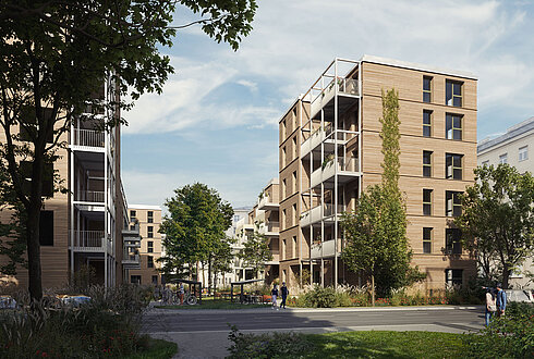 Baumstadt Floridsdorf - Werndlgasse 4b-3