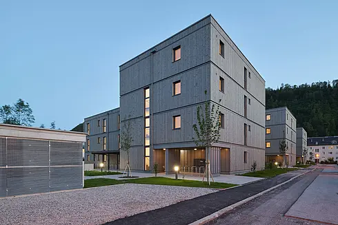 Burgfriedsiedlung BA3 Hallein  Haus D