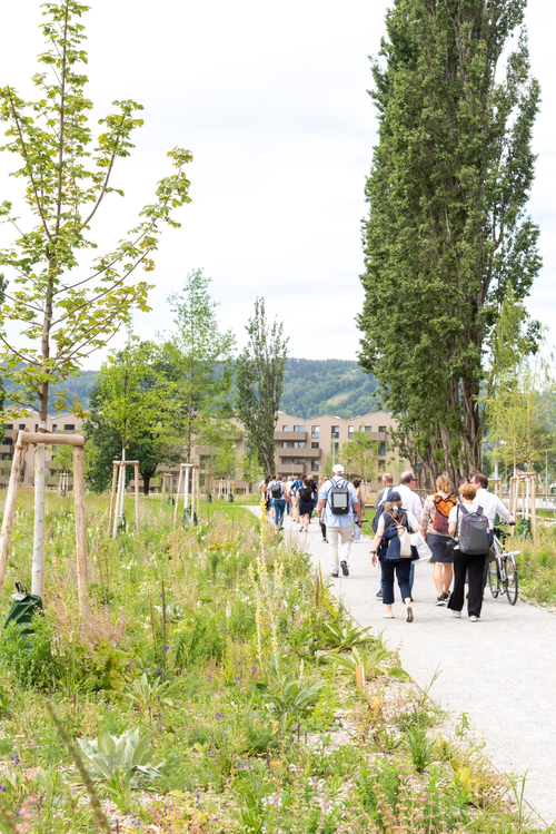 Einige Personen gehen entlang eines stark begrünten Gehweges