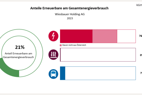 Abbildung 2: Anteil Erneuerbare am Gesamtenergieverbrauch und in den Bereichen Strom, Wärme und Transport 2023