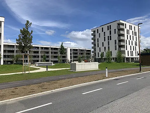 hiHarbach_Nr. 37/1