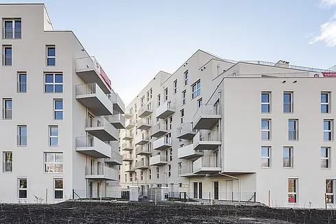 Living Point 21 - Stiege 2 - Hutterplatz 6