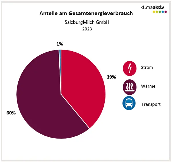 Abbildung 1: Aufteilung Gesamtenergieverbrauch in die Bereiche Strom, Wärme und Transport 2023