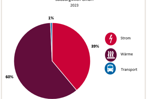Abbildung 1: Aufteilung Gesamtenergieverbrauch in die Bereiche Strom, Wärme und Transport 2023