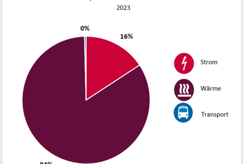 Abbildung 1: Aufteilung Gesamtenergieverbrauch in die Bereiche Strom, Wärme und Transport 2023