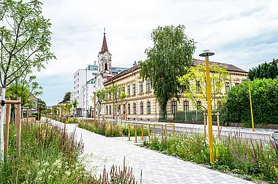 Neu gestalteter Straßenraum mit breitem Gehweg, bepflanzten Grünstreifen und jungen Bäumen. Die Fläche ist verkehrsberuhigt gestaltet und mit Sitz‑ und Aufenthaltsqualität, Fahrradabstellplätzen und moderner Beleuchtung ausgestattet. Im Hintergrund stehen historische Gebäude und ein kleiner Kirchturm.