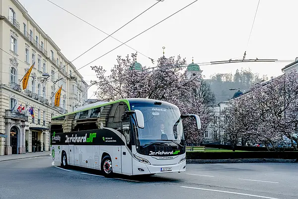 elektrischer Reisebus auf Straße, im Hintergund rosa blühende Bäume