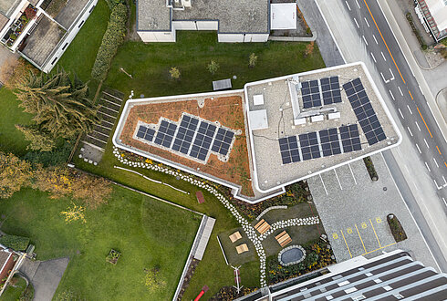 V202 Lustenau "Rheindorf West"