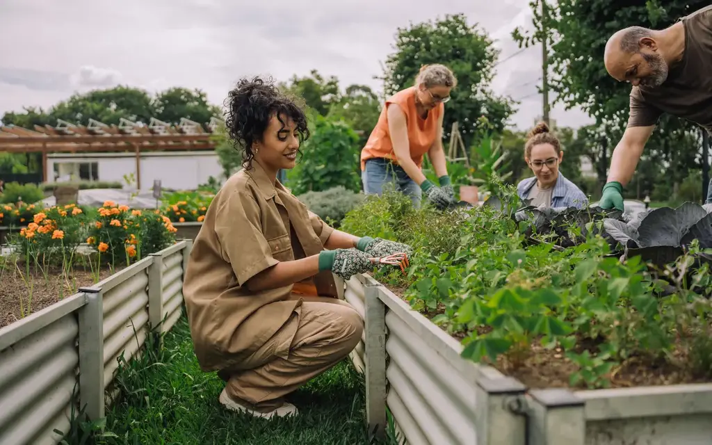 Energiespartipps für den Garten