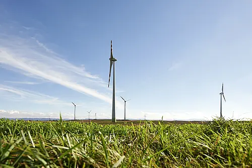 Windräder auf einem Feld