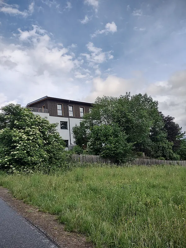 Sanierung Schulgarten