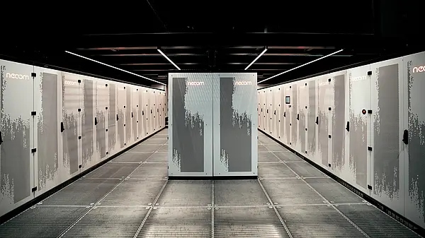 Free City