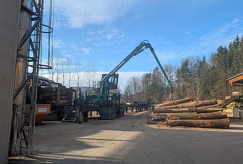 Kran hebt Baumstämme im Holzverarbeitungsbetrieb.