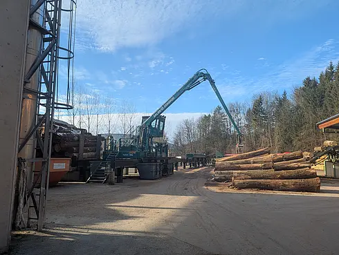 Kran hebt Baumstämme im Holzverarbeitungsbetrieb.