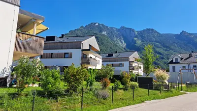 Darstellung der Häuser im Projektgebiet Esterergründe