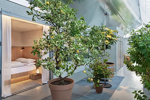 Glashaus von innen. Zu sehen sind mehrere Bäume und eine Kabine mit Bett