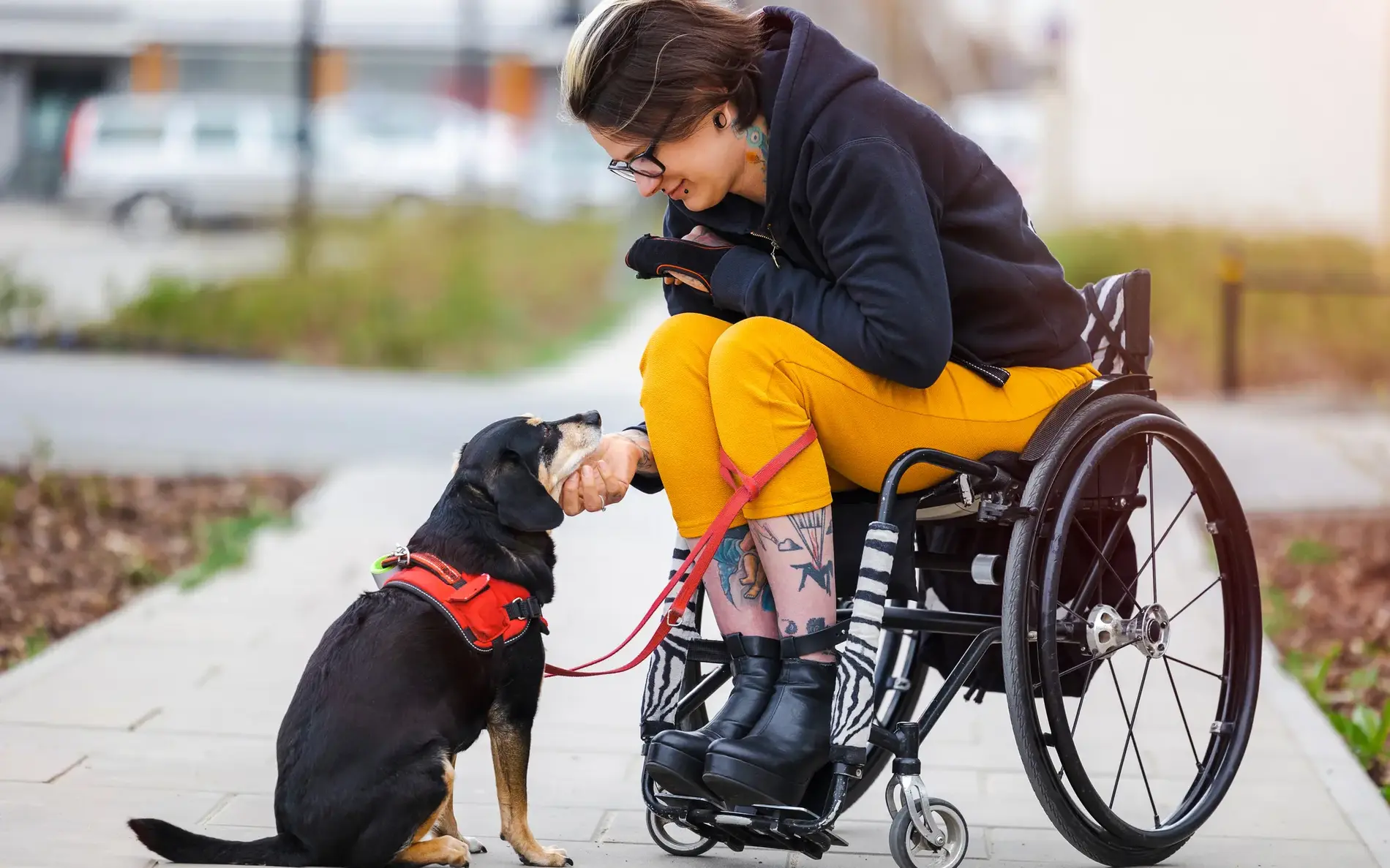 Frau sitzt im Rollstuhl und schaut auf ihren kleinen Hund hinunter. Sie hat schöne Tattoos auf ihren Beinen, die zu einem Viertel zu sehen sind und trägt eine Brille.