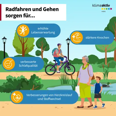 Die Grafik zeigt eine grüne Parklandschaft mit Wegen, Bäumen und Laternen. Im Vordergrund fährt eine Person mit Helm Fahrrad, daneben gehen eine ältere Frau und ein Kind spazieren. In farbigen Infoboxen sind gesundheitliche Vorteile von Radfahren und Zufußgehen dargestellt. Diese beinhalten eine erhöhte Lebenserwartung, verbesserte Schlafqualität, stärkere Knochen sowie Verbesserungen von Herz-Kreislauf-System und Stoffwechsel. Oben steht in großer Schrift der Titel „Radfahren und Zufußgehen sorgt für…“. Die Grafik ist Teil der Initiative „klimaaktiv mobil“. Unten befindet sich der Hinweis auf die Webseite „route.klimaaktivmobil.at“, wo weitere Informationen zu den gesundheitlichen Effekten von Alltagswegen abrufbar sind.