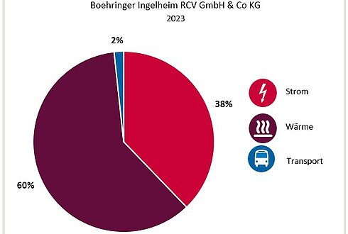 Abbildung 1: Anteile der Verbrauchsbereiche am Gesamtenergieverbrauch 2023