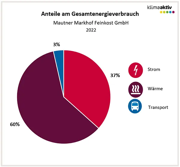 Abbildung 1: Aufteilung Gesamtenergieverbrauch in die Bereiche Strom, Wärme und Transport 2023