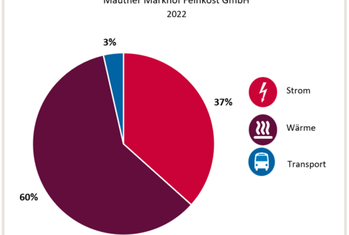Abbildung 1: Aufteilung Gesamtenergieverbrauch in die Bereiche Strom, Wärme und Transport 2023