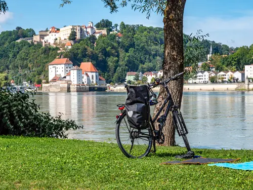 Rad angelehnt an einem Baum, im Hintergrund die Donau und ein Ortspanorama
