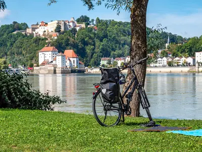 Rad angelehnt an einem Baum, im Hintergrund die Donau und ein Ortspanorama