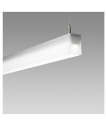 Regent Flow Pendelleuchte 21W